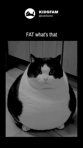 I dunno 🙄

We are building the Cat Spirit Community 🐈‍⬛ for the free souls. We love to invite you to...

JOIN THE FAM - @kids...
