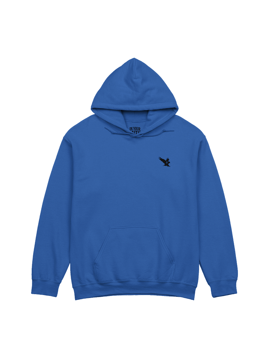 Eagle In Exile Hoodie product image (2)