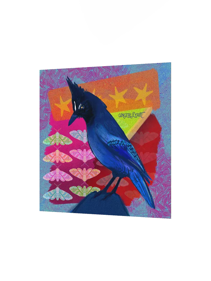 steller's jay print product image (6)