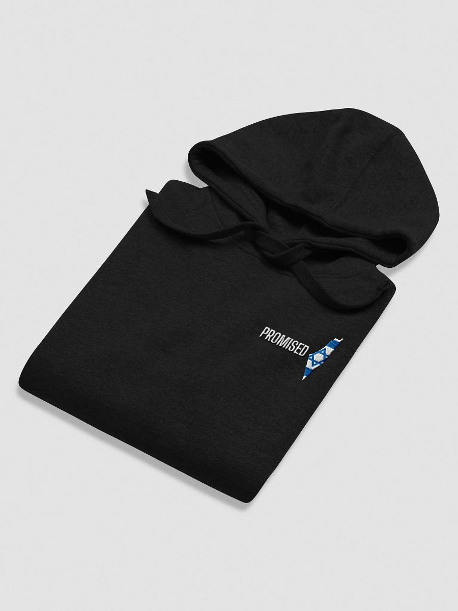 PROMISED Hoodie – Covenant Edition product image (24)