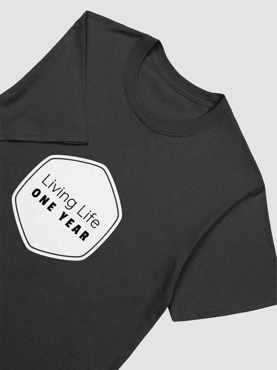 Living Life One Year product image (3)