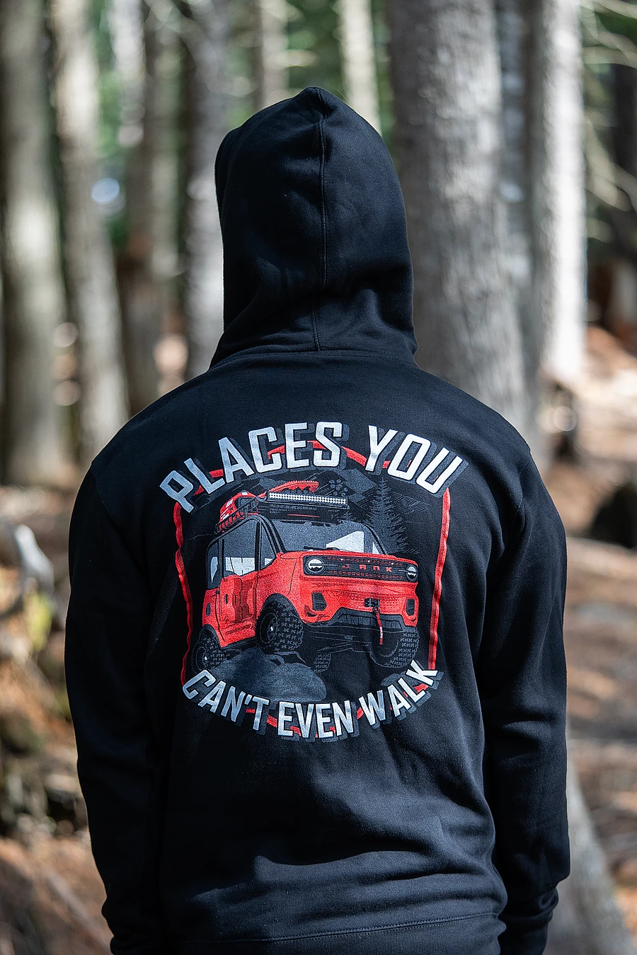 PLACES YOU CAN'T EVEN WALK HOODIE product image (4)