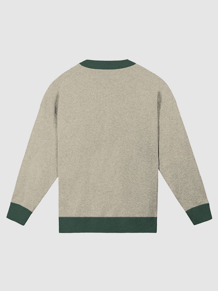 ANGELIC (lg. lined design, pine and beige) knitwear relaxed crewneck product image (10)