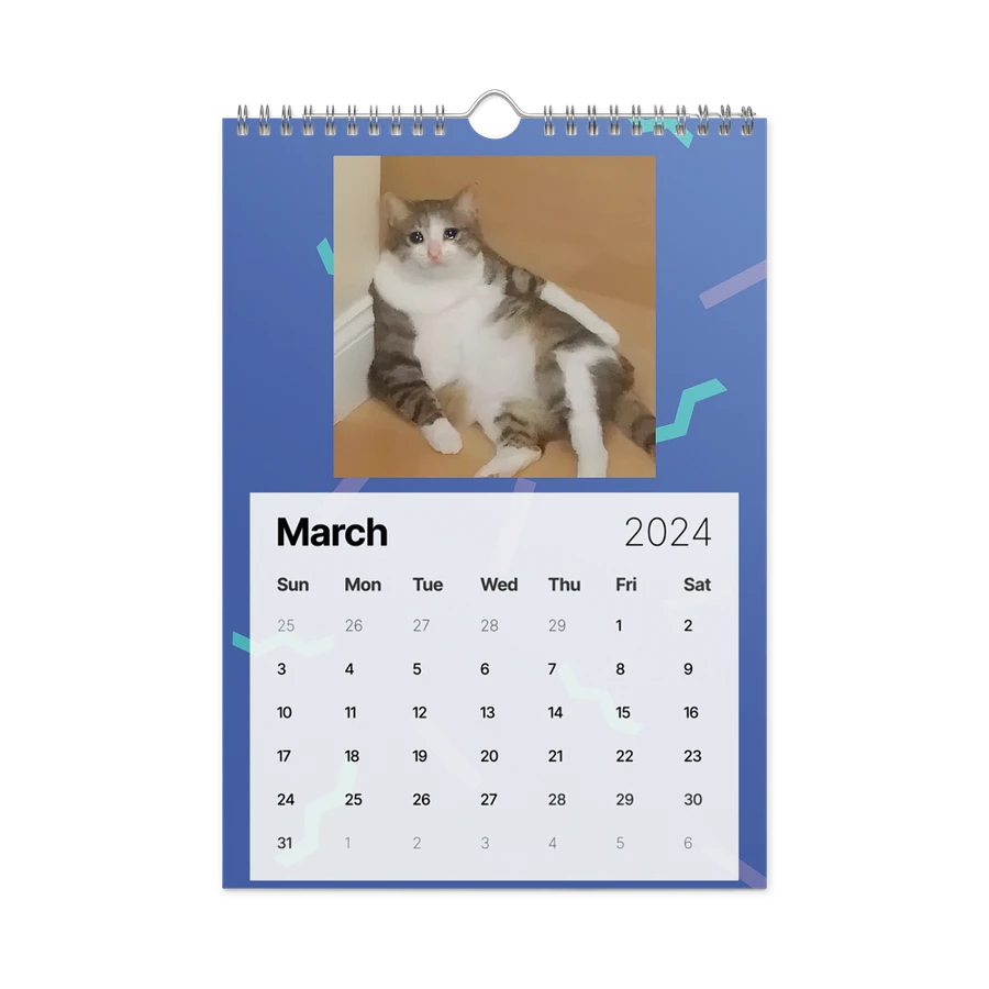 Wall Calendar (2024): Meme Cats product image (13)