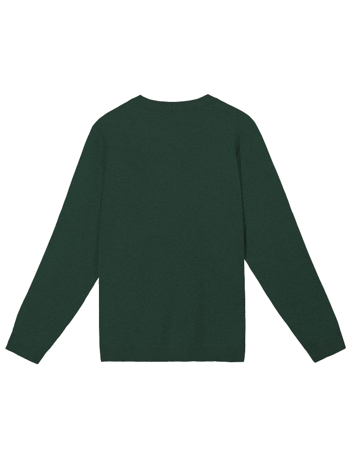 Cozy Chaos Sweater (Green) product image (2)