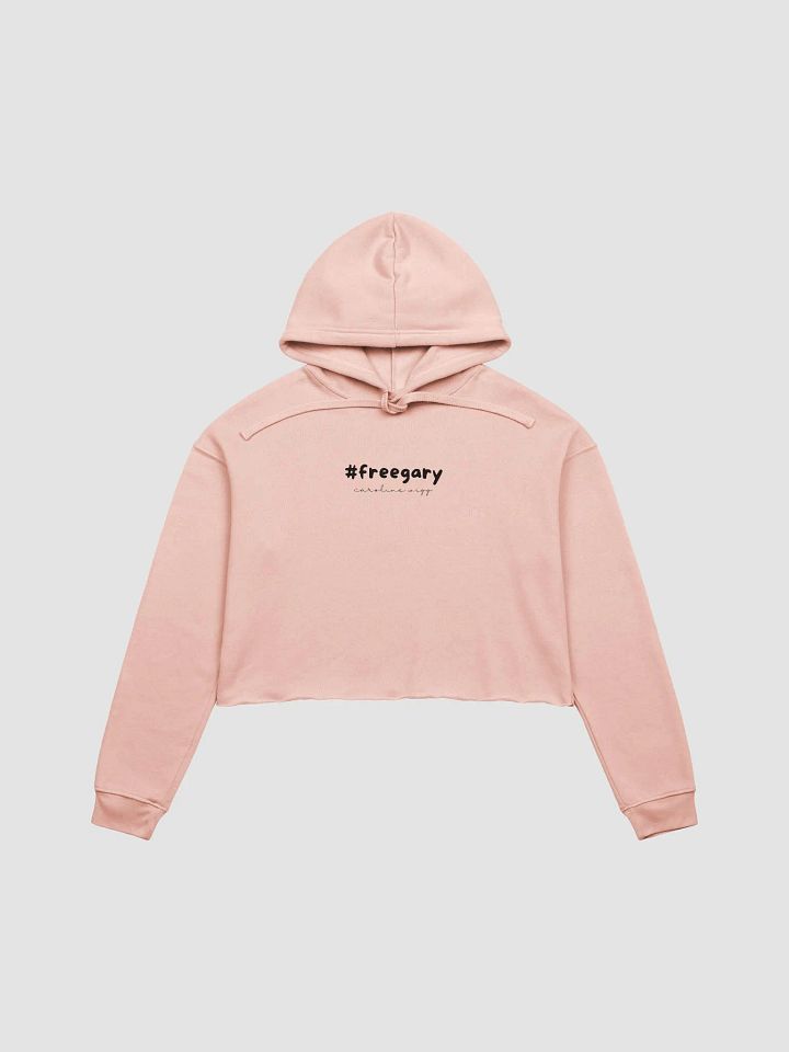 Free Gary Crop Hoodie - Light Colours product image (2)