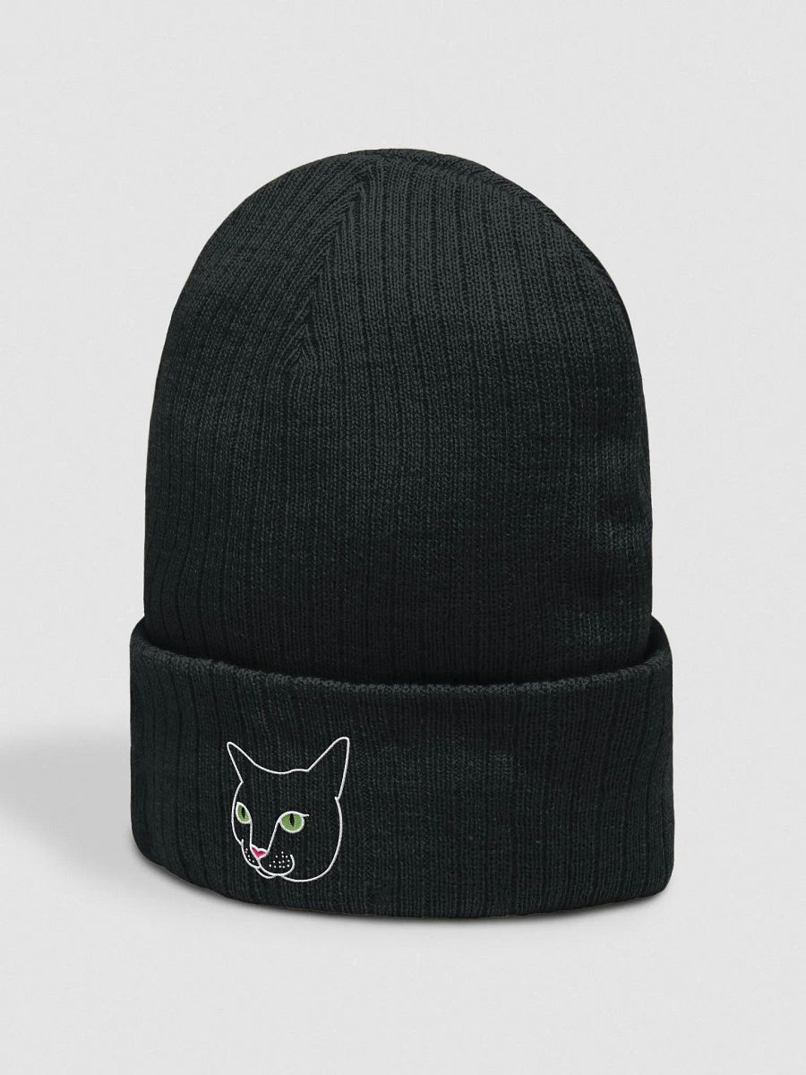 Ripley Beanie product image (2)