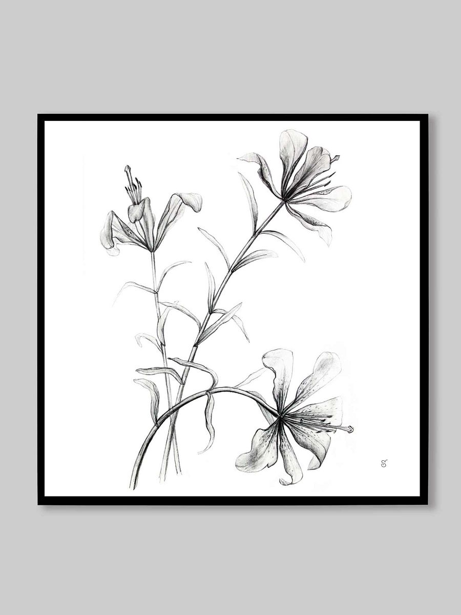 Blossom Canvas Collection - Wild Elegant Flowers product image (52)