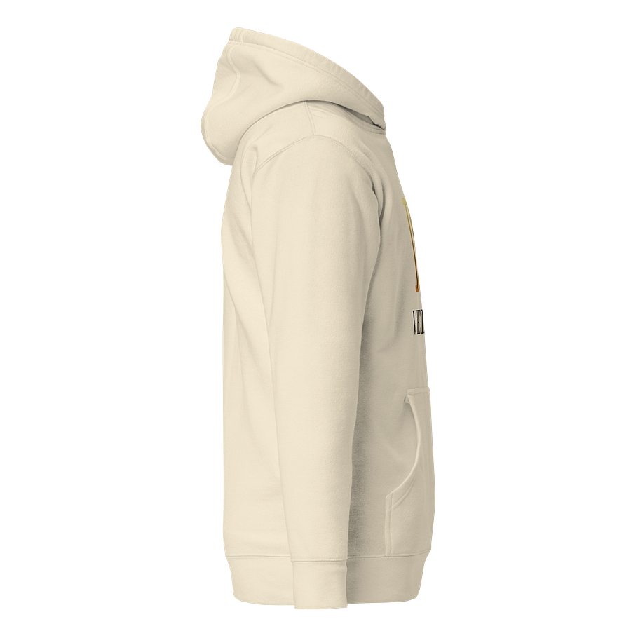 VETA Luxury Hoodie product image (29)