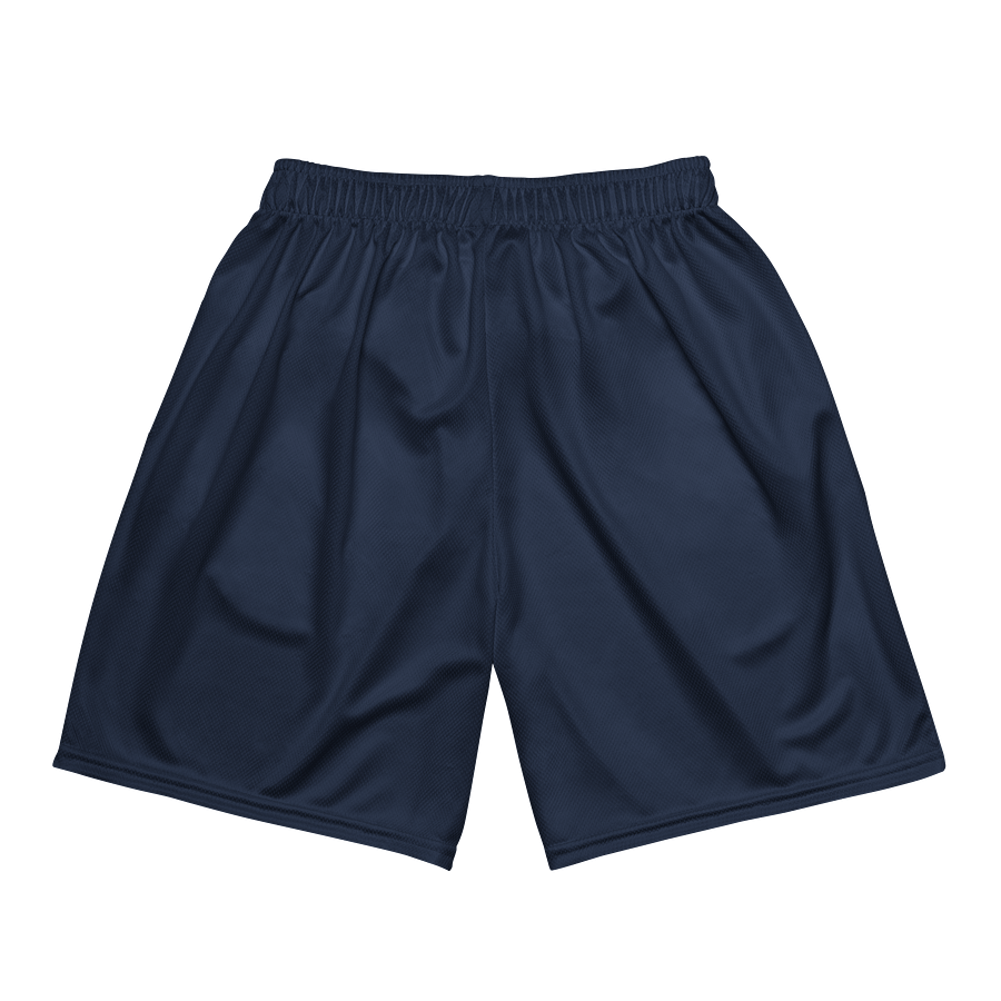 Main Logo Mesh Shorts (Navy) product image (5)