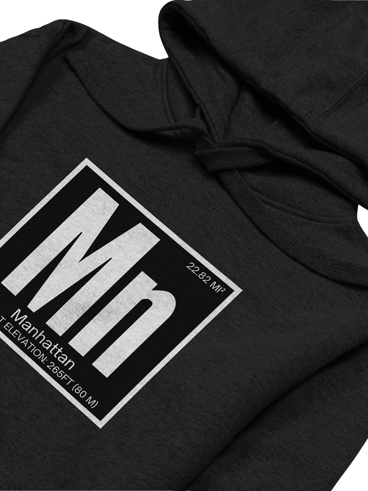 Manhattan Element : Hoodie product image (2)
