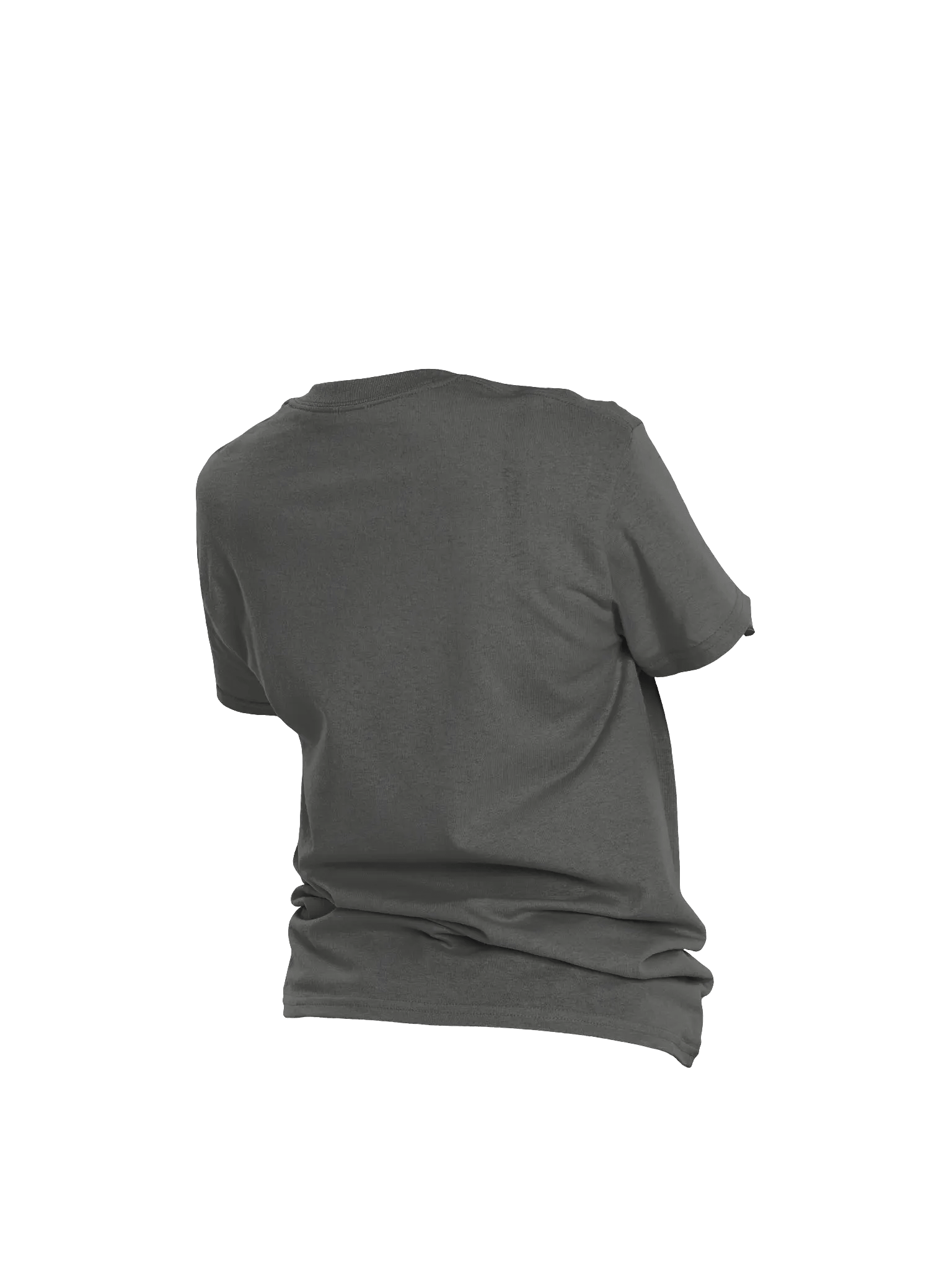 Modesty is My Power Panda T-Shirt product image (12)