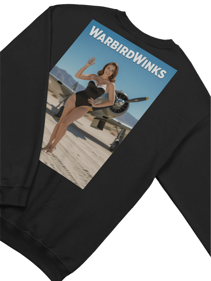Sweatshirt: A6 product image (1)