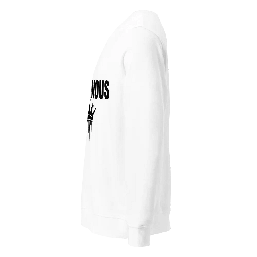 Victorious Sweatshirt product image (3)