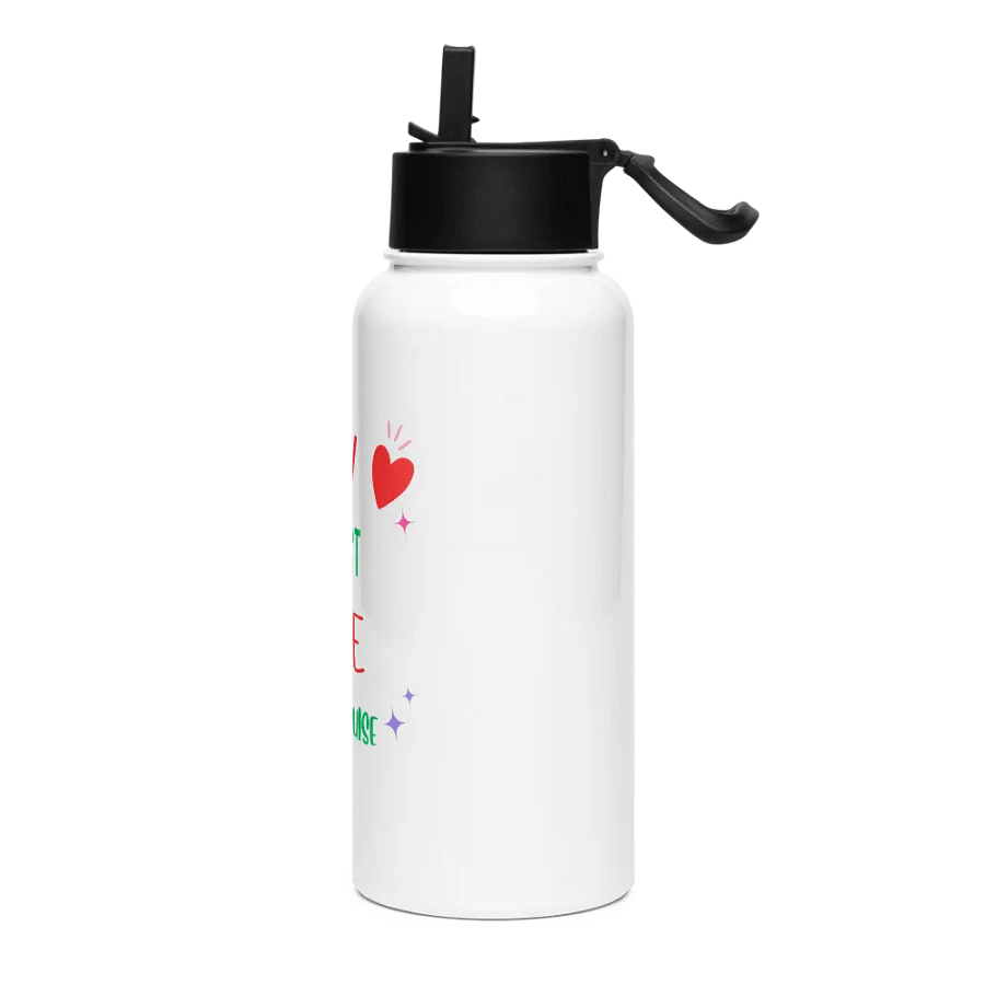 Cruise Memories Stainless Steel Bottle product image (3)