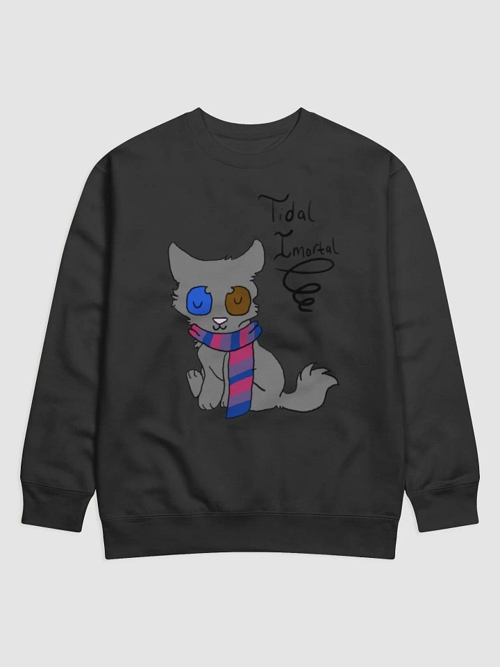 Pirate Patched Kitty Sweatshirt product image (3)