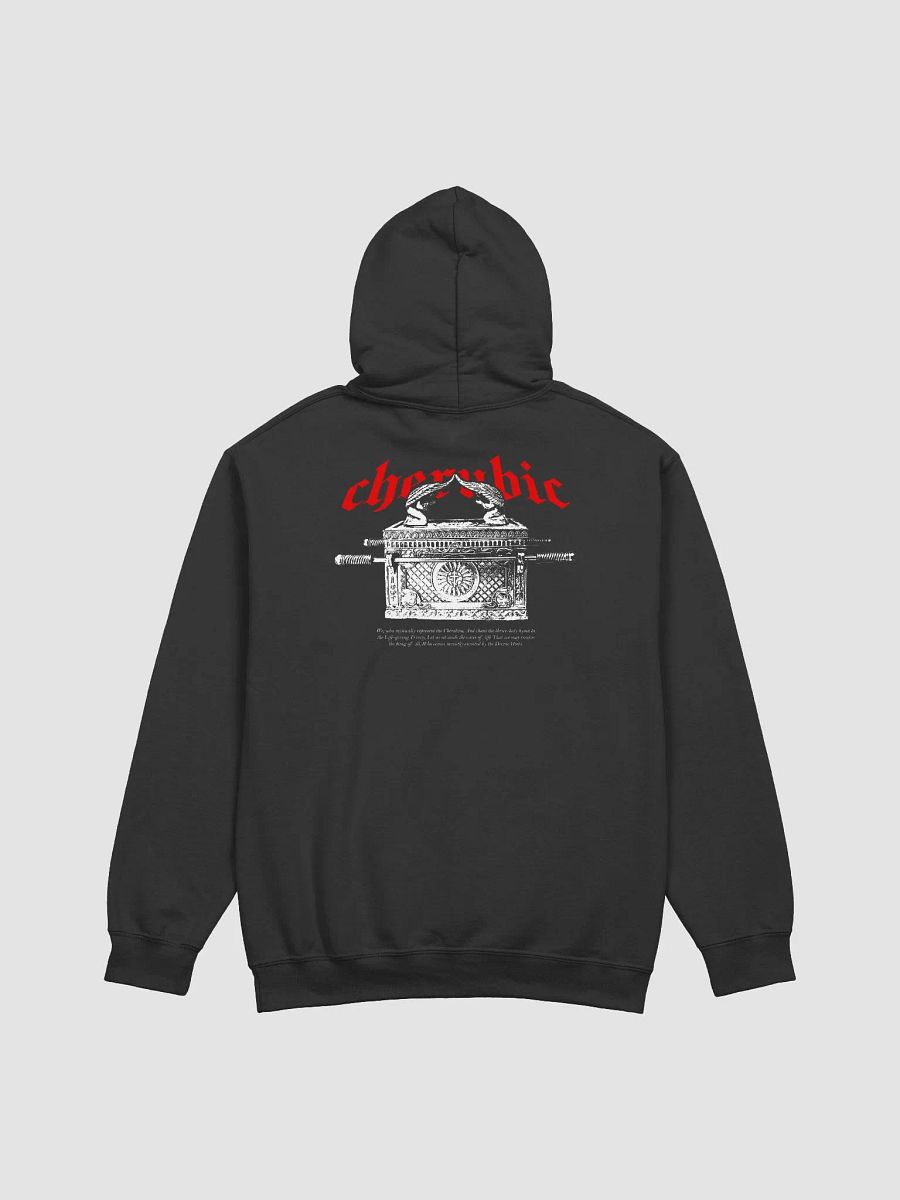 Cherubim Hoodie product image (4)