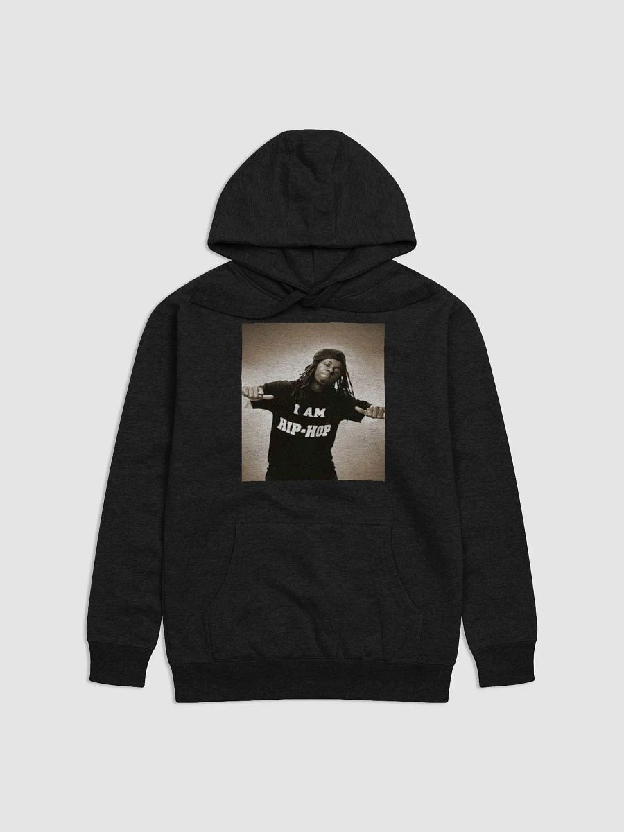 WEEZY F. BABY(I AM HIP HOP) product image (1)