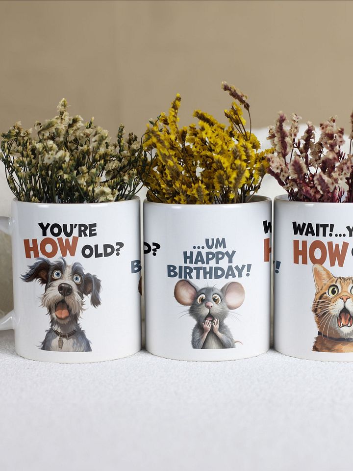 "You're HOW old?" Shocked dog, mouse and cat. White glossy mug product image (2)