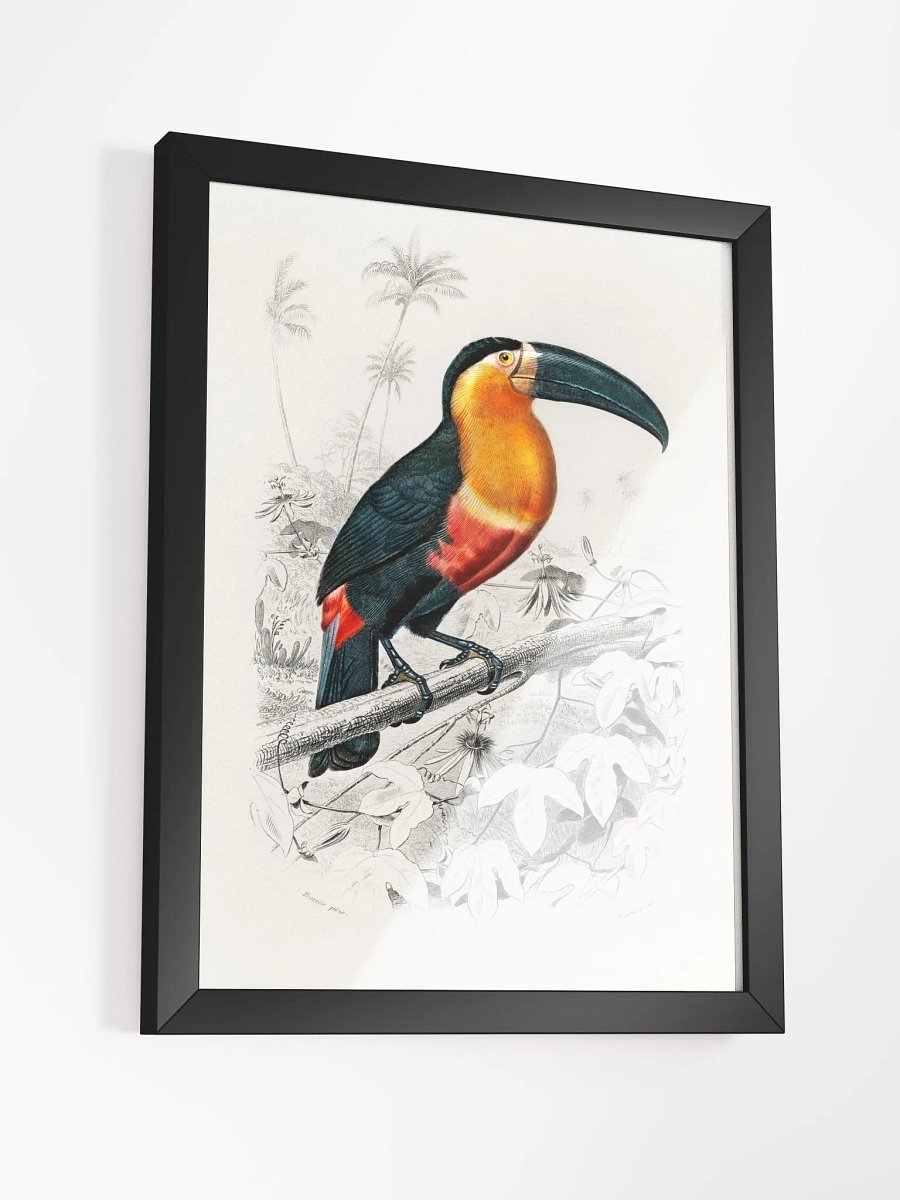 Toucan product image (15)