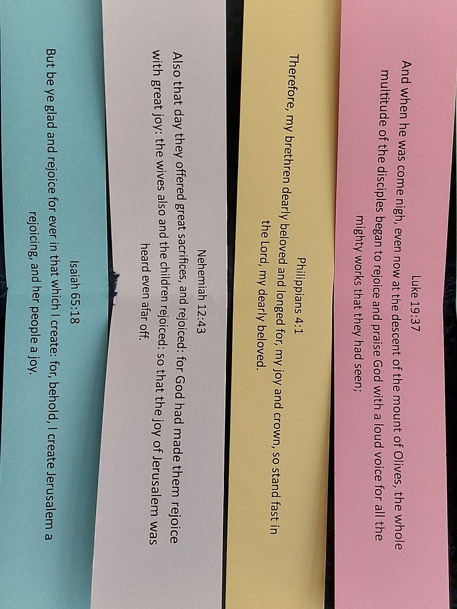 Scriptures in a Jar - Church GIFT package (12 jars of 250 Scriptures each) product image (4)