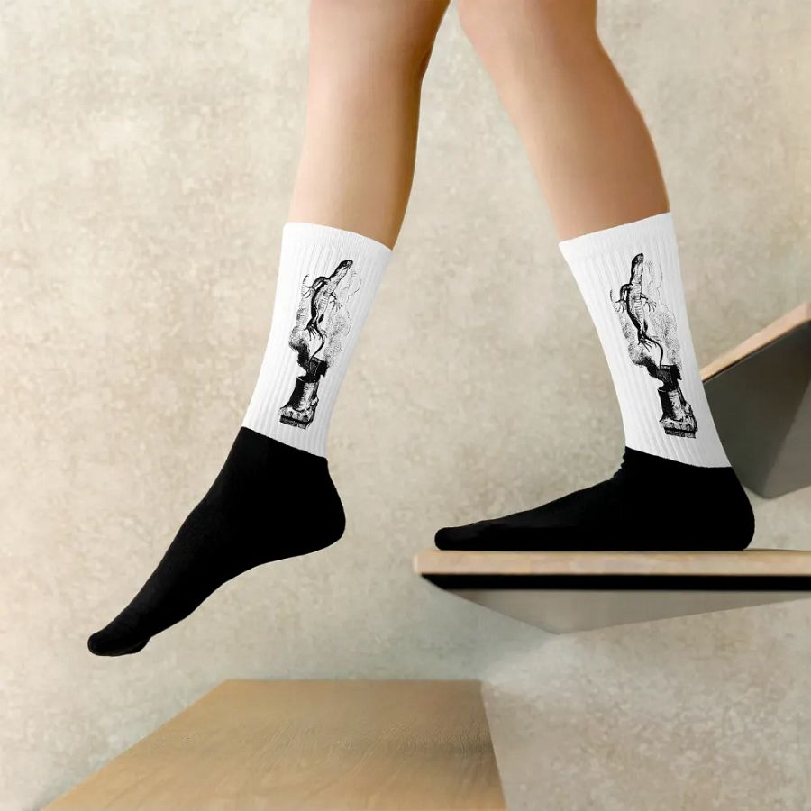 Chimney Lizard Black Foot Socks - Alice Collection product image (6)