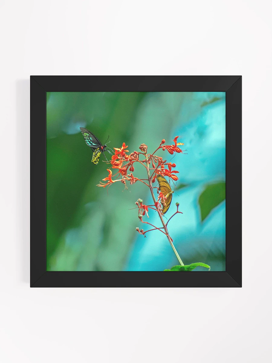 Love Joy Butterflies Beauty Framed Poster product image (4)