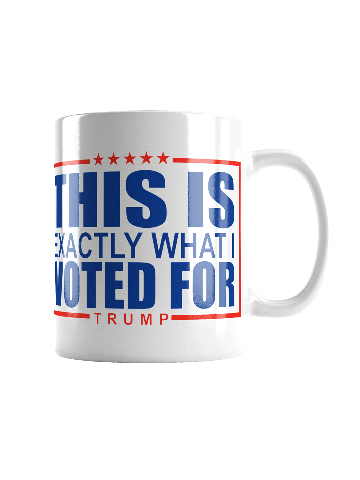 This Is What I Voted For Mug product image (4)