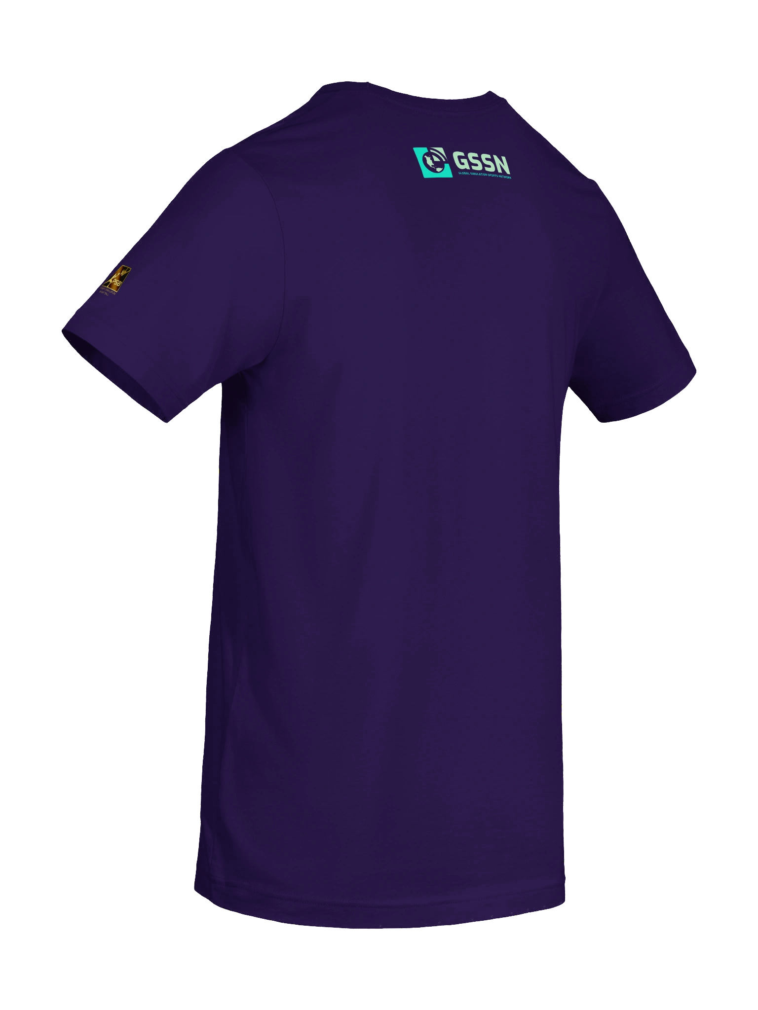Premier Simulation Basketball - PSB St. Louis Reign Logo T-Shirt product image (38)