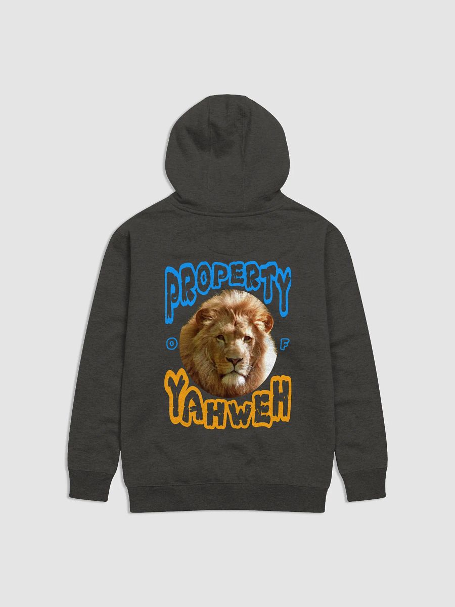 Child of God Unisex Hoodie product image (9)