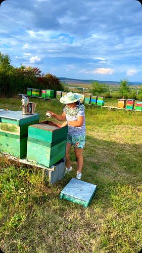 Bee hive inspection 🧐 
#beekeeping #modernbeekeeping #modernbeekeepingjourney #oscarandthebees #beekeeperlife #naturelover #s...