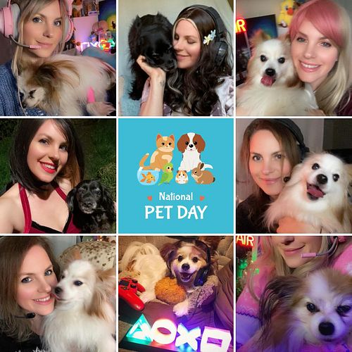 Apparently today is #NationalPetDay so take some pics of my babies; they keep me company during streams/games/cosplays!
They ...