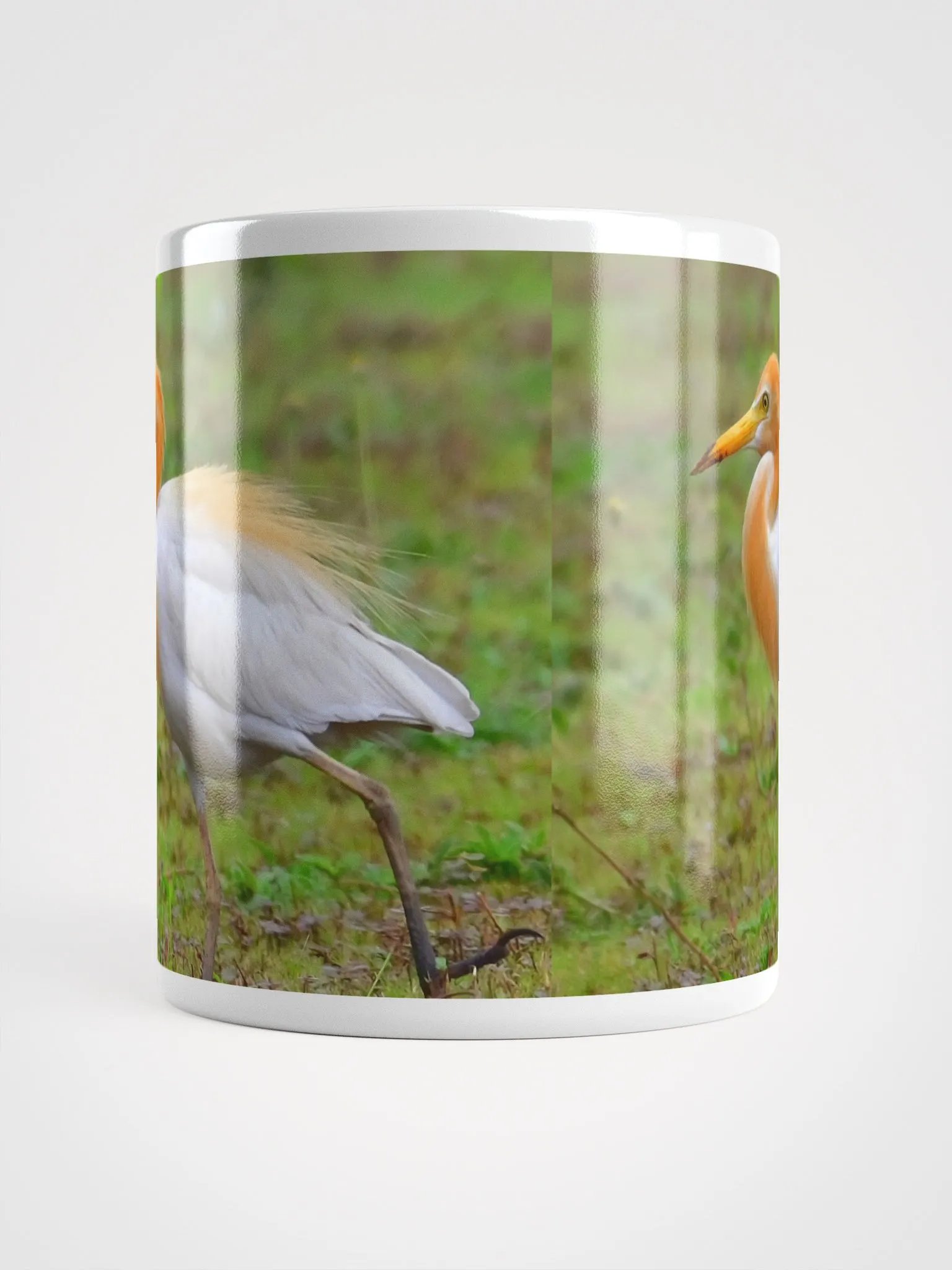 IUCAA Birds MUG product image (5)