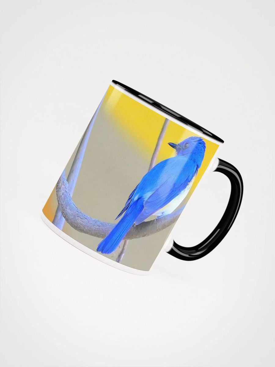 IUCAA Birds MUG product image (54)
