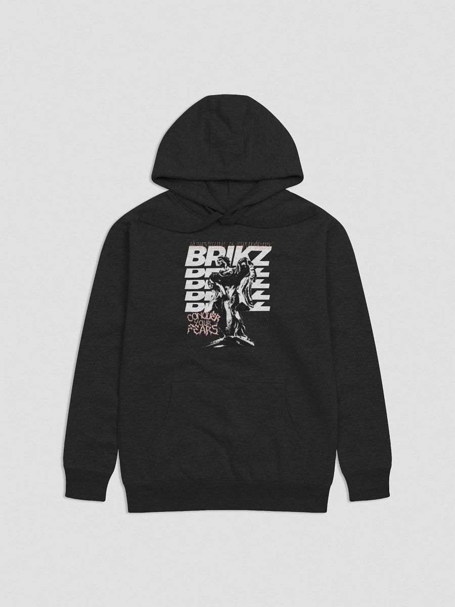 Conquer your fears Hoodie product image (1)