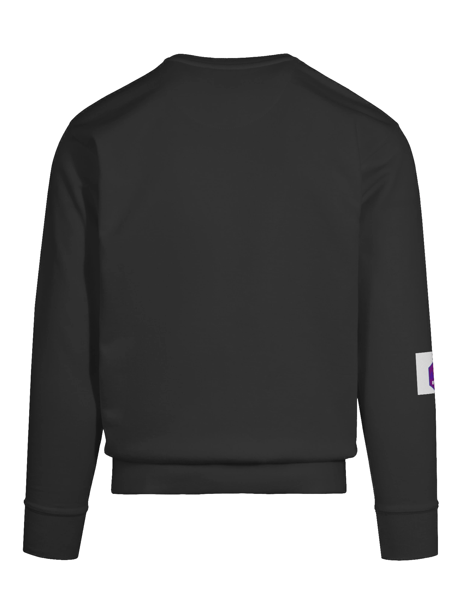 RayElle Distribution Illustrated Sweatshirt product image (101)