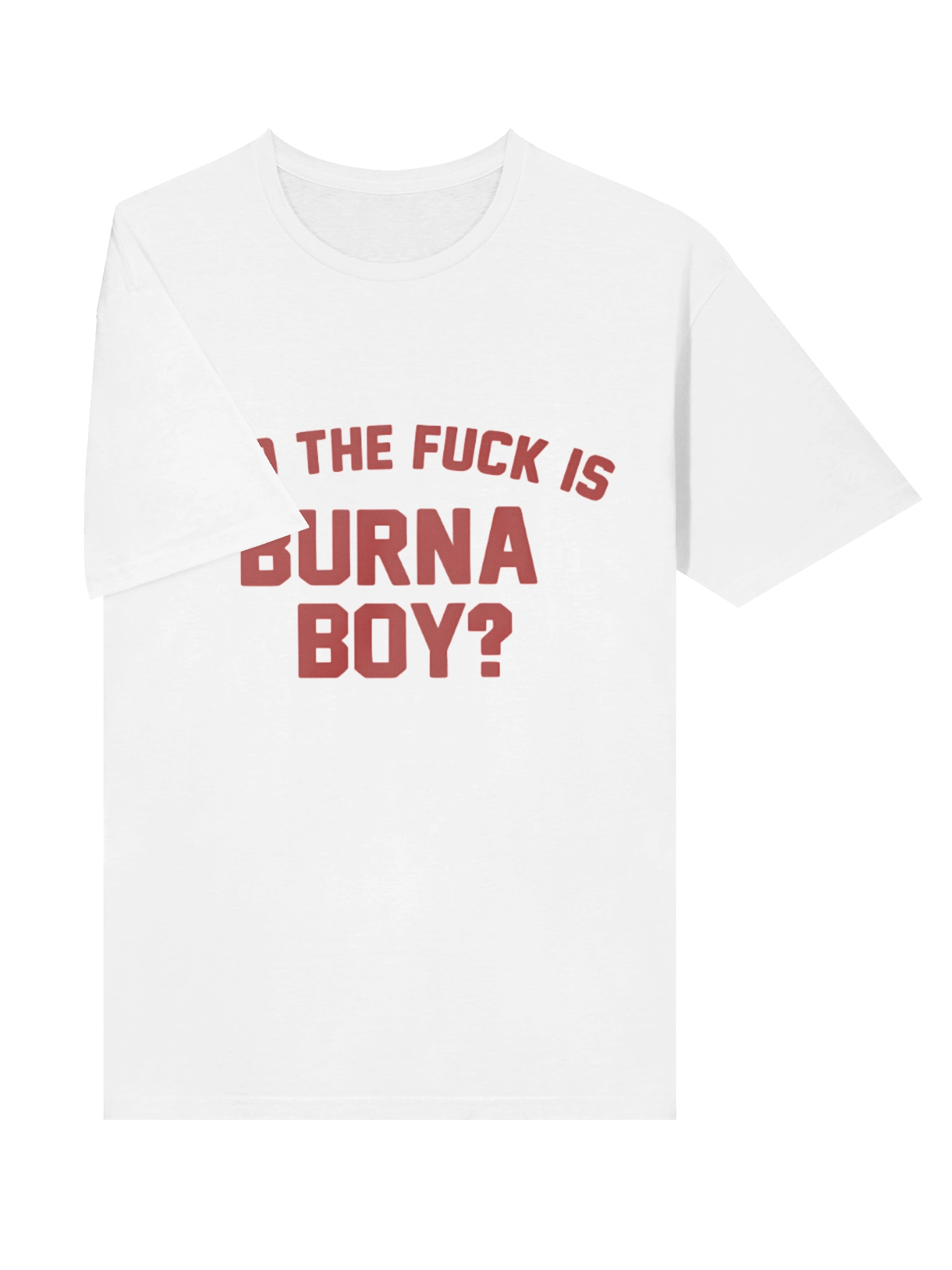 Who the Fuck is Burna Boy? T-Shirt product image (3)