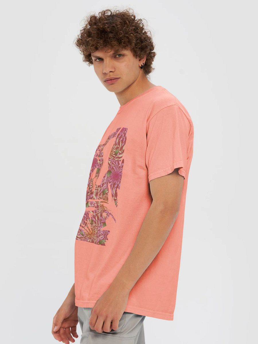 Blush Michelangelo on Chrysanthemums product image (22)