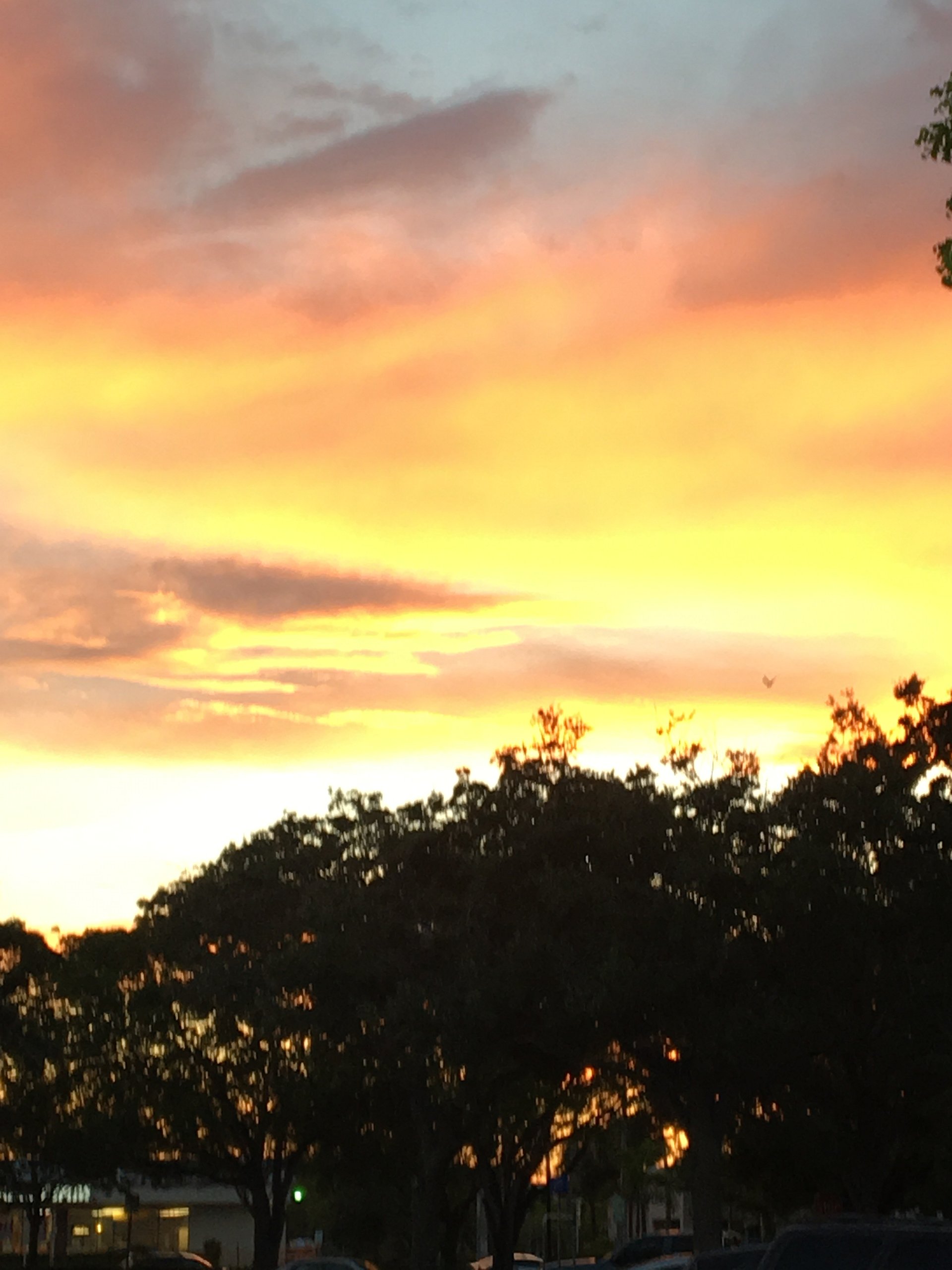 Digital Sunsets product image (3)