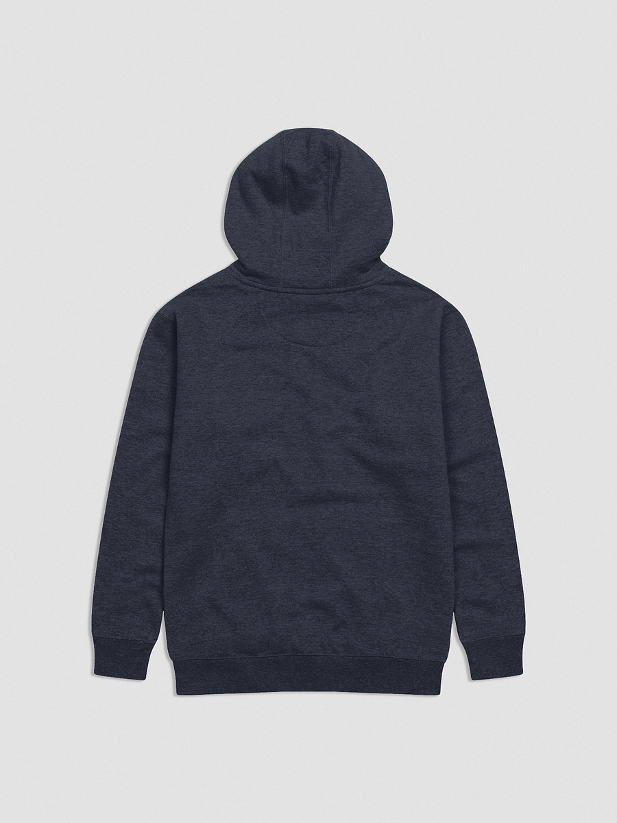 Embroidered "I Plead the Fifth" - Matching Set Hoodie product image (3)