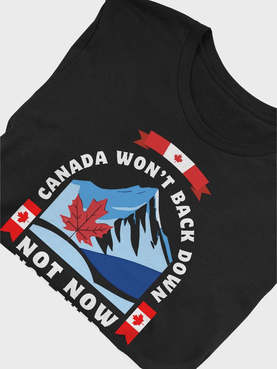 Canadian Maple Mountain T-Shirt product image (9)