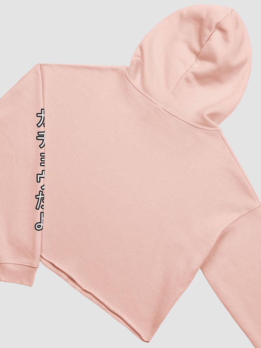 Japanese Text Cropped Hoodie product image (4)