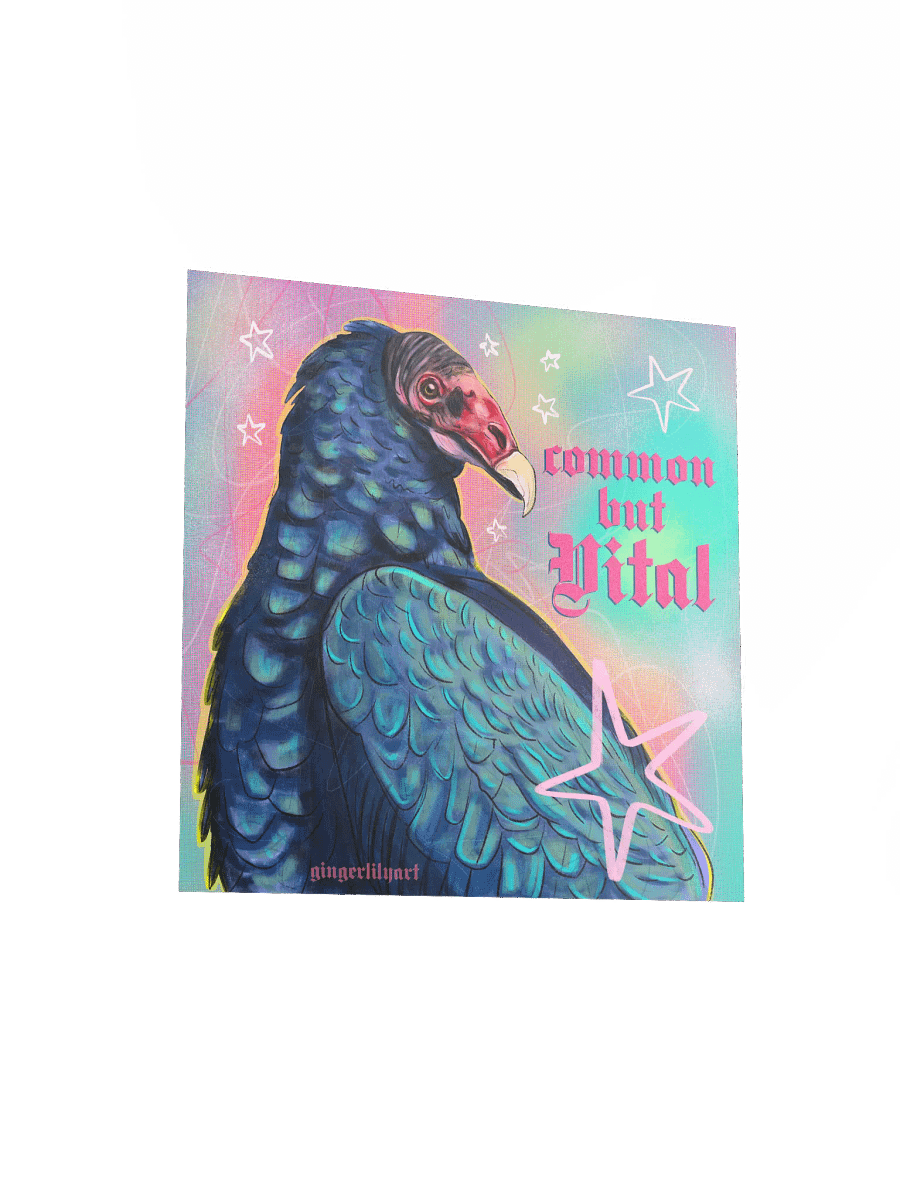 turkey vulture print product image (5)