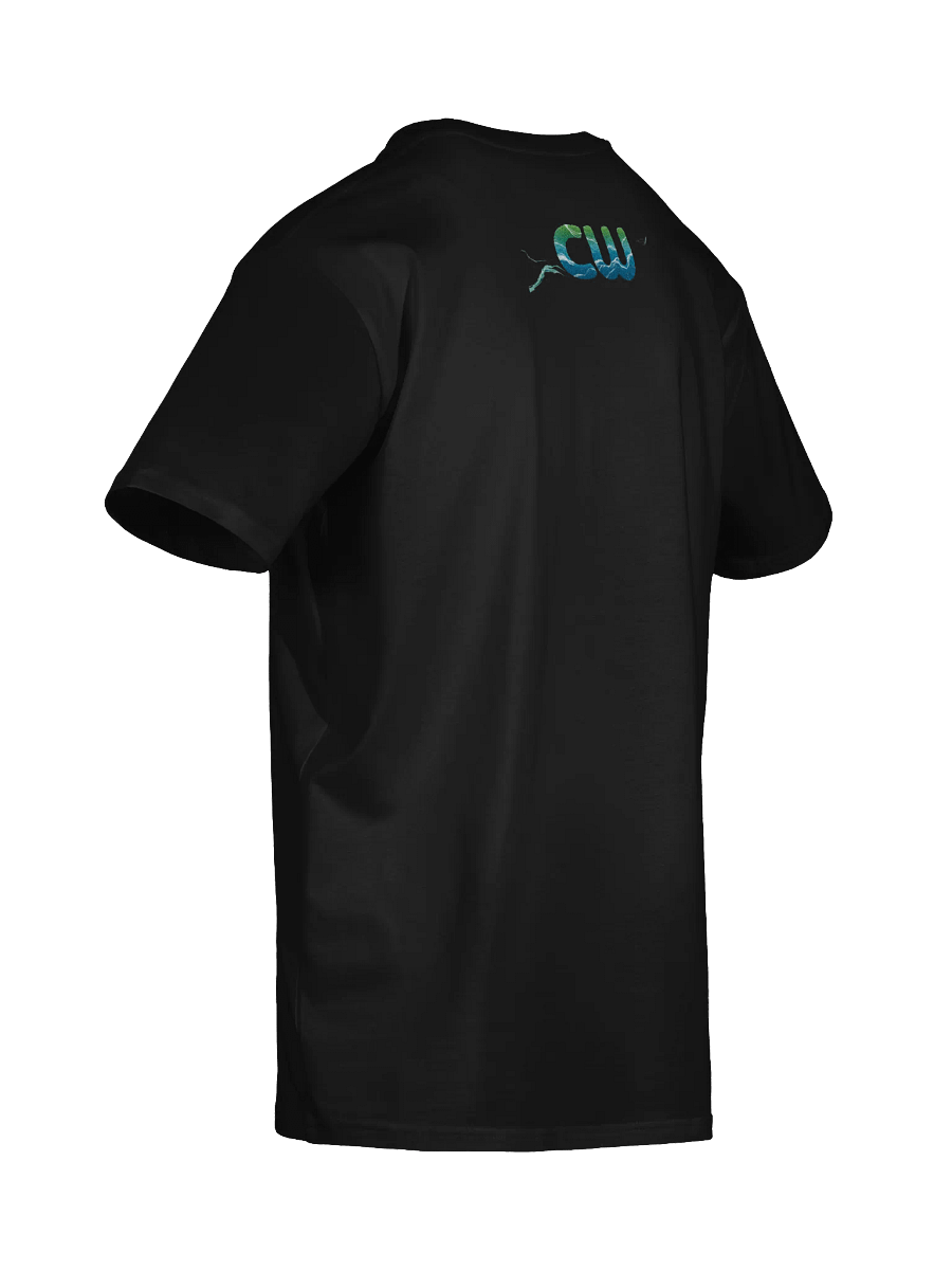 BRO + CW Unisex T-Shirt product image (27)