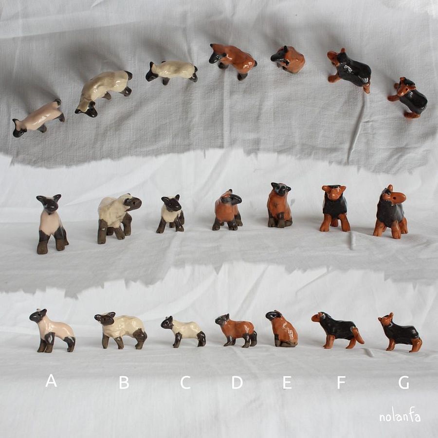 Mini sheep - Natural product image (2)