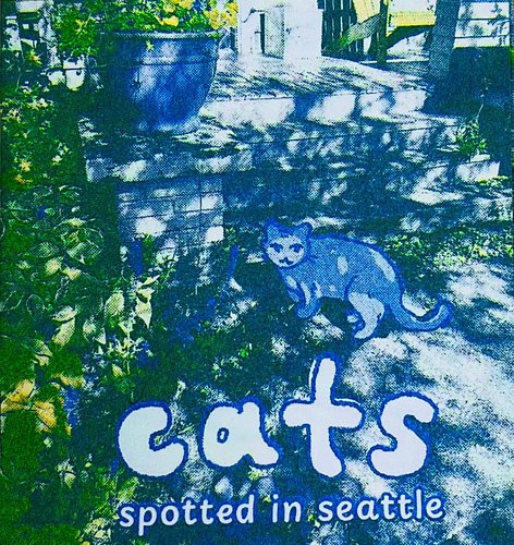 some cats i’ve spotted during my walks in seattle :3