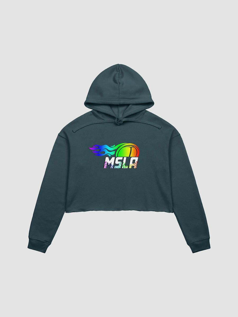 MSLA Pride - Cropped Hoodie product image (2)