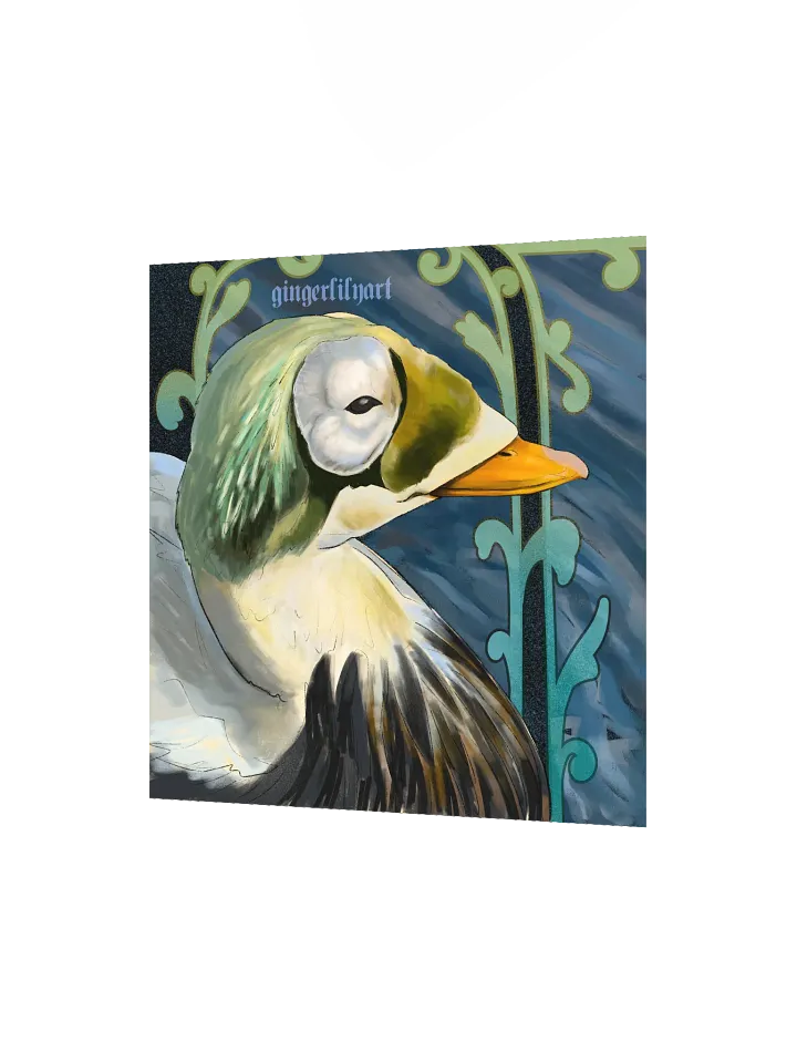 speckled eider duck product image (3)