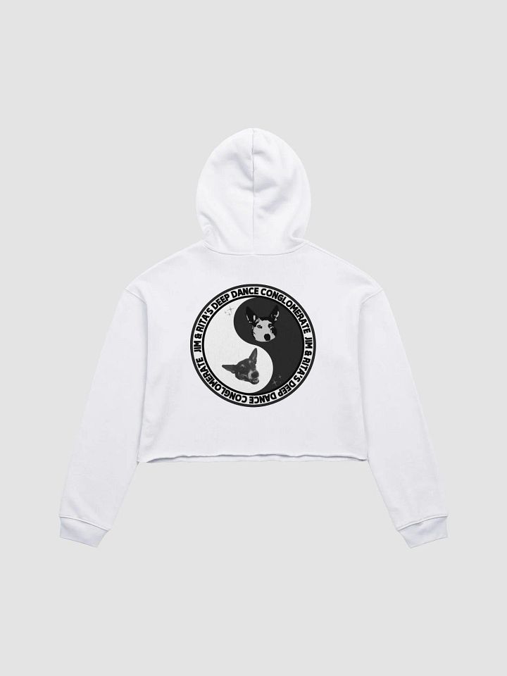 JRDDC SUMMR CROP HOODIE product image (2)