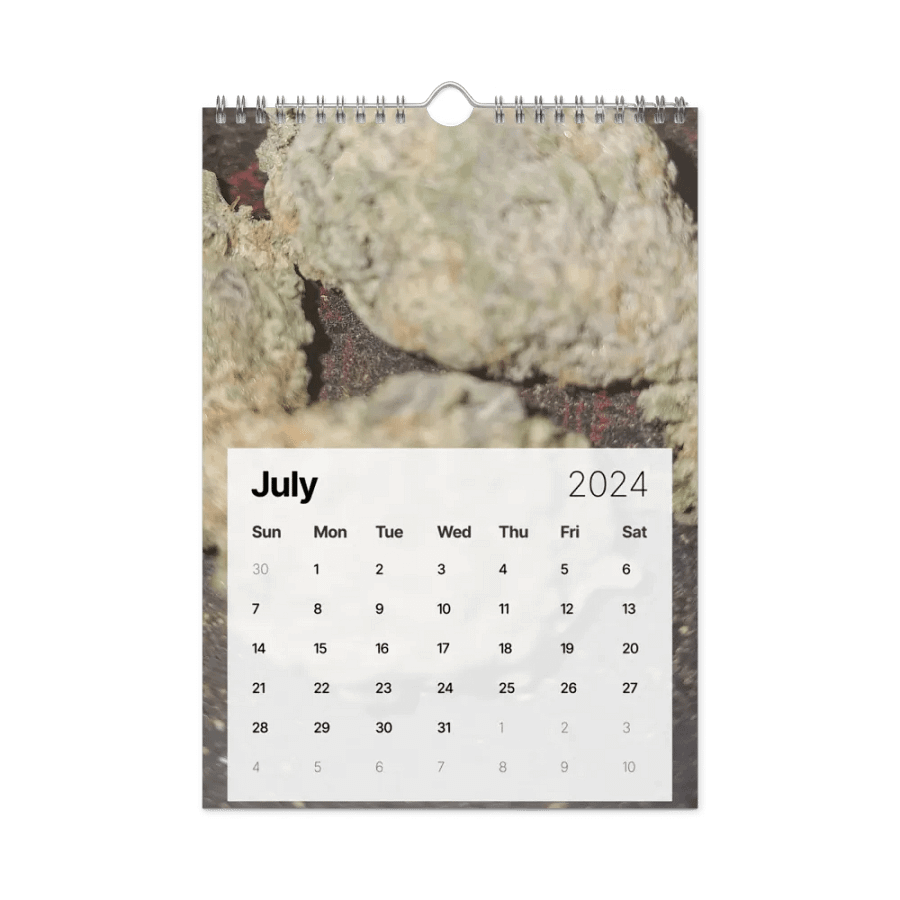BRVG 2024 Calendar product image (19)